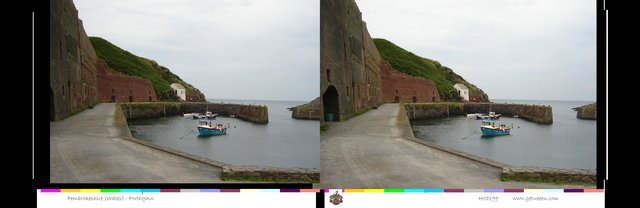 H08199 (26K)