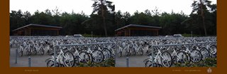 Hoge Veluwe, witte fietsen