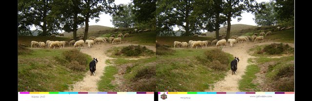 herder H02512